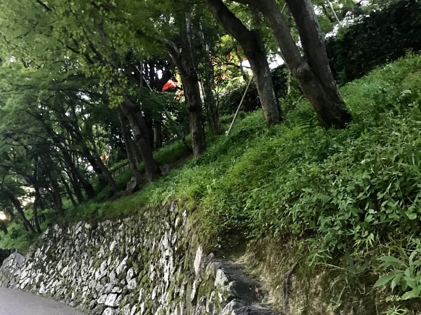 Paris Secret Gardens 1.30 hour long Walking Tour - A Closer Look at the Tour Experience