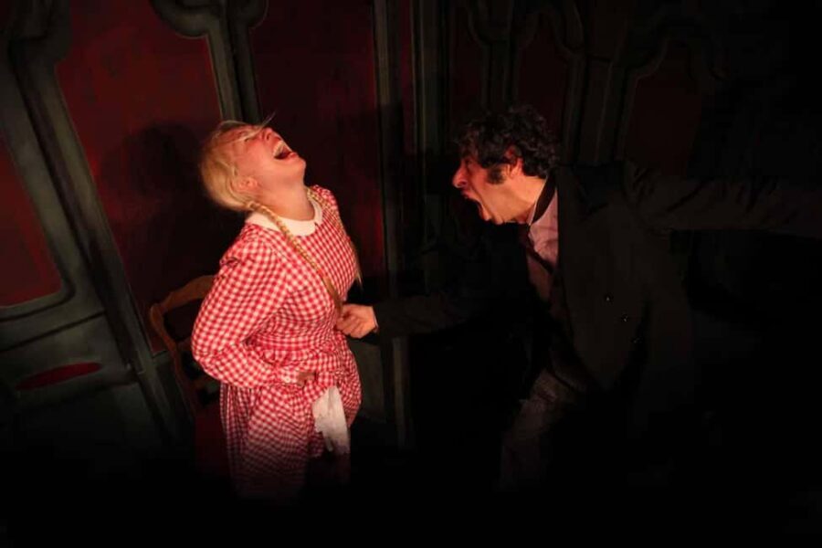 Paris: Theatre Package, The Lesson & The Bald Soprano - The Plays: What to Expect