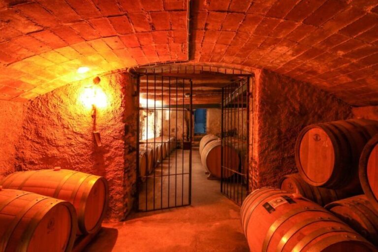 Paris: Two Reims Champagne Vineyards with Tastings and Lunch - What the Reviews Tell Us