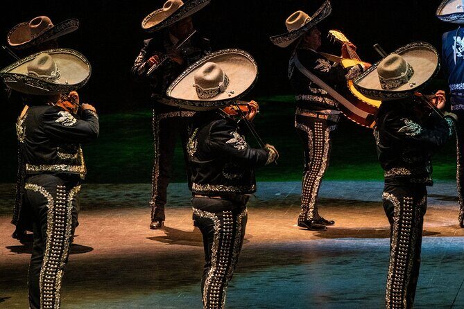 Park Xcaret Plus with Transportation from Cancun and Riviera Maya - Who Is This Tour Best For?