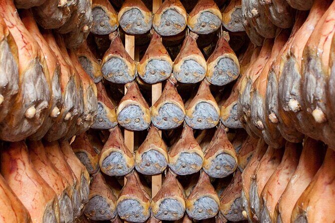 Parma: Parmigiano dairy, Parma Ham, & Wineyard Tour with Tastings - Is It Worth the Price?