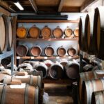 Parmesan, Balsamic Vinegar and Ferrari with Lunch - Practical Details and What to Expect