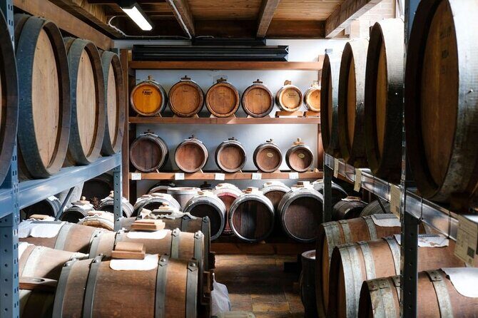 Parmesan, Balsamic Vinegar and Ferrari with Lunch - Practical Details and What to Expect