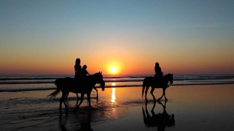 Paros: Morning Island Horseback Riding Adventure - Frequently Asked Questions