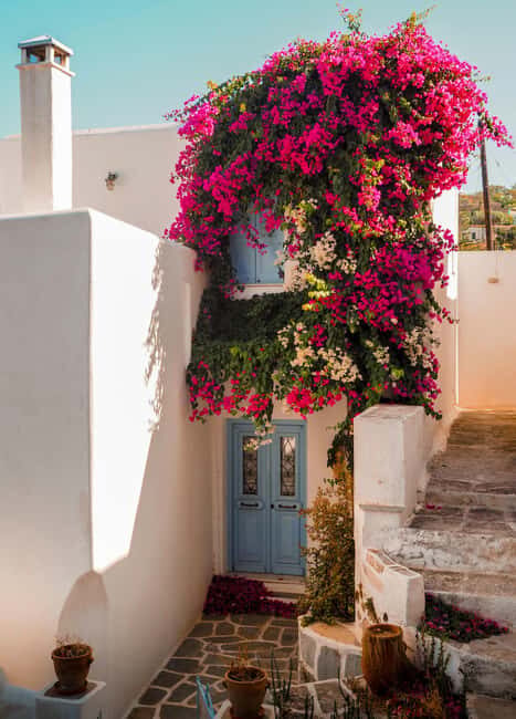 Paros: Private Highlights Tour with Van - The Practical Details