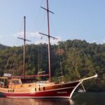 Paros: Traditional Gulet Shared or Private Island Cruise - Who This Cruise Is Best For