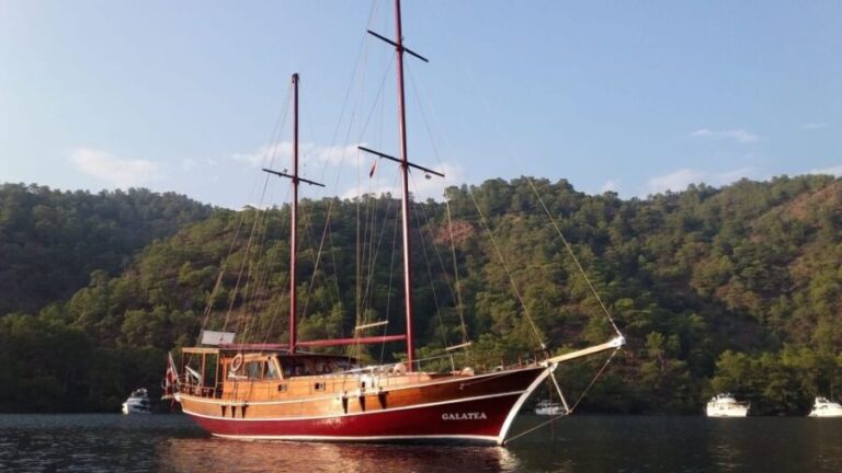 Paros: Traditional Gulet Shared or Private Island Cruise - Who This Cruise Is Best For