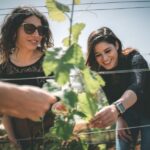 Partinico: Farm Augustali Winery Tour with Picnic & Tastings - Who Is This Tour Best For?