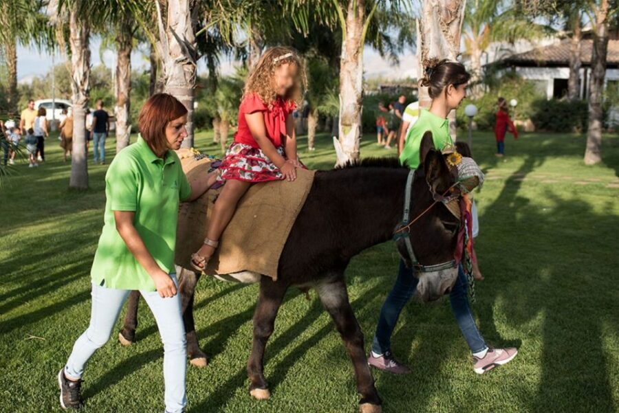 Partinico: Farm's Animals and Aromatic Garden Experience - Animal Encounters and Farm Life