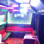 Party Bus & Dancer for 3 hours in Vilnius Private tour - The Atmosphere and Experience