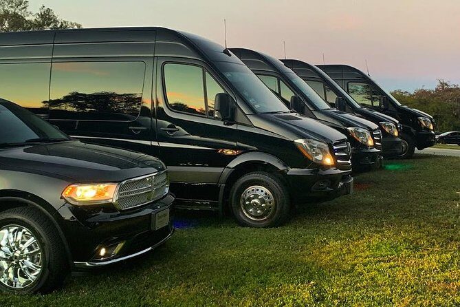 Party Bus Luxury Sprinter Limos - The Experience in Action: Insights from Reviews