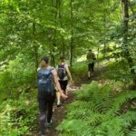 Parz Lake to Goshavank: Forest Hike|Wild Mountain Tea Ritual - The Forest Walk: Flora, Fauna, and Legends