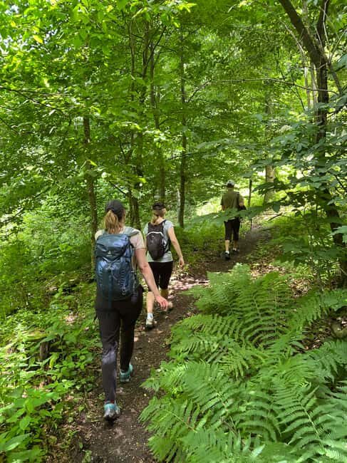 Parz Lake to Goshavank: Forest Hike|Wild Mountain Tea Ritual - The Forest Walk: Flora, Fauna, and Legends
