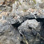 Passenger transfer service from Torre Faro (Messina) to Scilla round trip - Who Will Love This Tour?