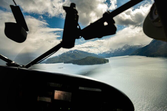 Peak Season Bear Viewing By Seaplane - Who Will Love This Tour?