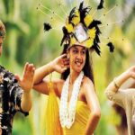 Pearl Harbor + Dole Plantation + Polynesian Center from Waikiki - Who Is This Tour Best For?