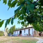 Peccioli: Wine tasting experience - Discovering the Charm of Podere Borgaruccio’s Wine Tasting