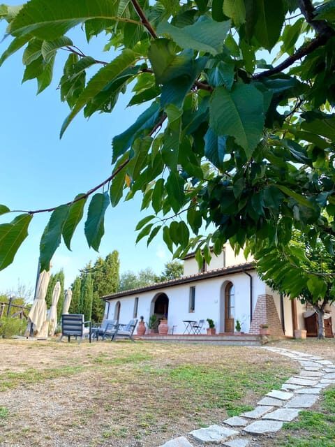 Peccioli: Wine tasting experience - Discovering the Charm of Podere Borgaruccio’s Wine Tasting