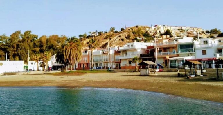 Pedregalejo Food Tour: Explore Malaga's most iconic quarter - The Practical Details