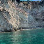 Pelagic Boat Tour7 destinations:drink+Snorkel+Umbrella - An In-Depth Look at the Experience