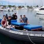 Pelagic Wildlife Excursion - The Experience on the Water