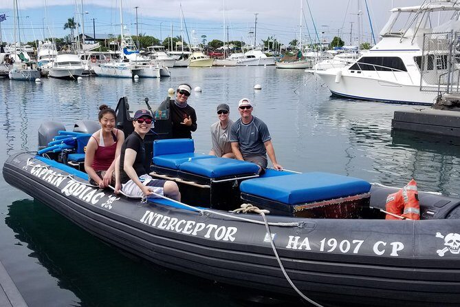 Pelagic Wildlife Excursion - The Experience on the Water