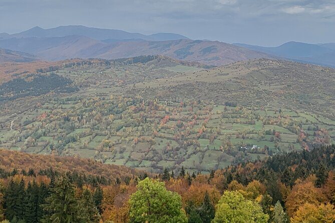 Peles castle and authentic Romanian village experience - day trip - Why the Tour Is a Good Value