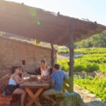 Peljeac Full-Day Wine and Food Tour from Dubrovnik - What Travelers Say: Authentic Feedback