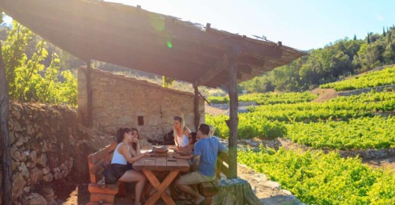 Peljeac Full-Day Wine and Food Tour from Dubrovnik - What Travelers Say: Authentic Feedback
