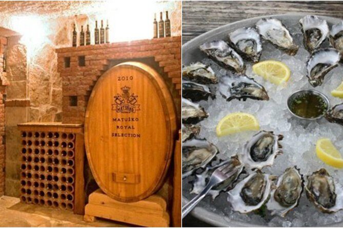 Peljesac Peninsula Wine Tasting Luxury Tour from Dubrovnik - What the Itinerary Looks Like