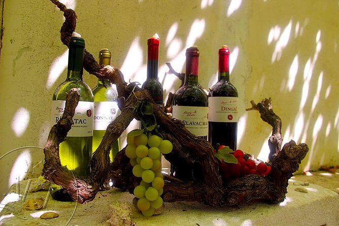 Peljesac Vineyards & Oysters - Private Day Trip from Dubrovnik-Mercedes Vehicle - Who Should Consider This Tour?