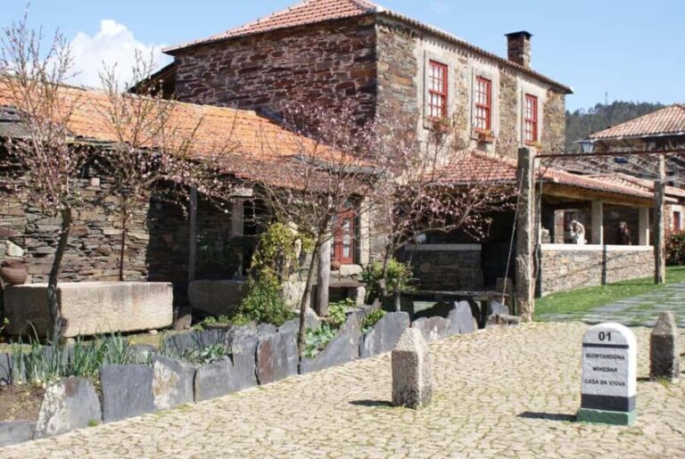 Penafiel: Wine, History and Archaeology Experience - Final Thoughts