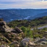 Peneda-Gerês: Full-Day Premium Tour - Who Should Consider This Tour?