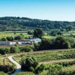 Penedès E-Bike & Organic Wine Tour with Montserrat Views - Practical Details