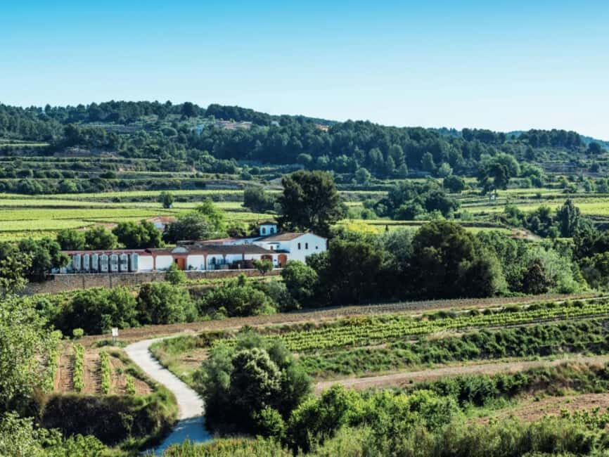 Penedès E-Bike & Organic Wine Tour with Montserrat Views - Practical Details