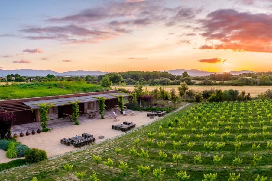 Penedés: Guided Walk Through Vineyards, Winery Visit, and Tasting of 3 Wines - The Scenic Land and Its Value