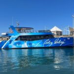 Peniche: Berlenga Island and Cave Tour - How the Price Reflects the Experience