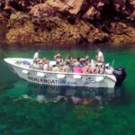 Peniche: Berlengas Island Caves Tour and Snorkeling - Who Is This Tour Best Suited For?