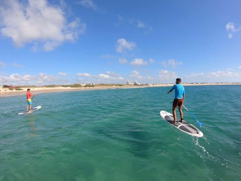 Peniche: SUP Wave Lesson - The Price and Value