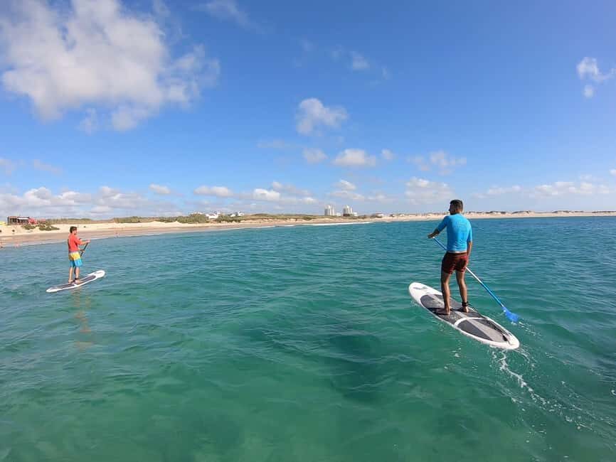 Peniche: SUP Wave Lesson - The Price and Value