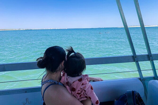 Pensacola Beach Jolly Dolphin Cruise and Scenic Bay Tour - Who Should Consider This Tour?