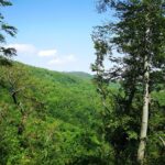 Perceive Zagreb Like a Local - Medvednica Nature Park Hiking - The Hike to Sljeme: A Mountain Summit Experience