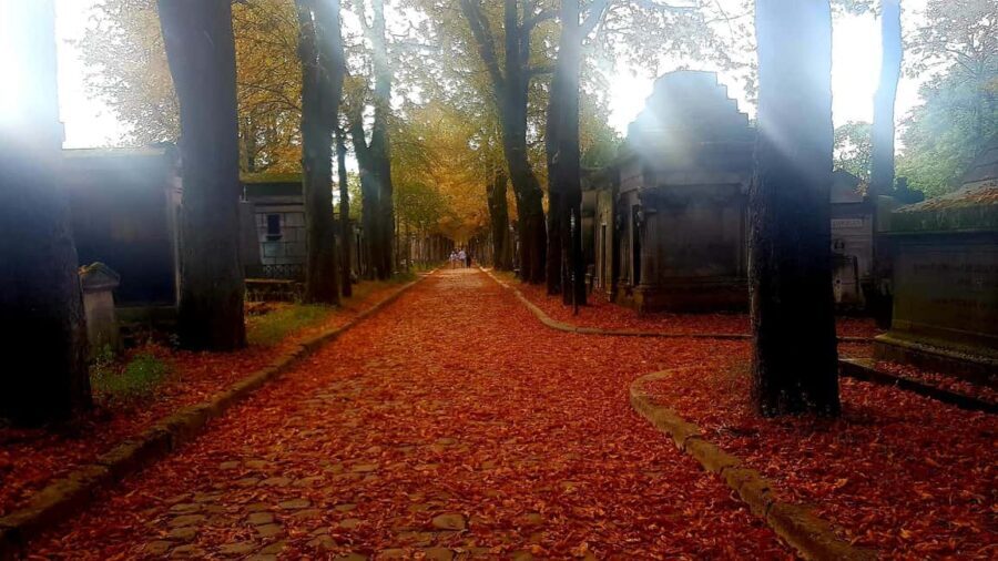 Père-Lachaise : histoires et mystères contés par un comédien - What’s Included and How It Works