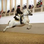 Performance Of The Lipizzans At Spanish Riding School - Key Points