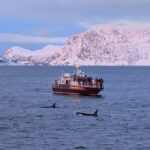 Personal Whale Watching Adventure From Tromsø - Who Is This Tour Best Suited For?