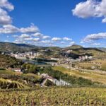 Peso da Régua: Casa da Formiga Wine & Olive Oil Tasting - Practical Details and Tips