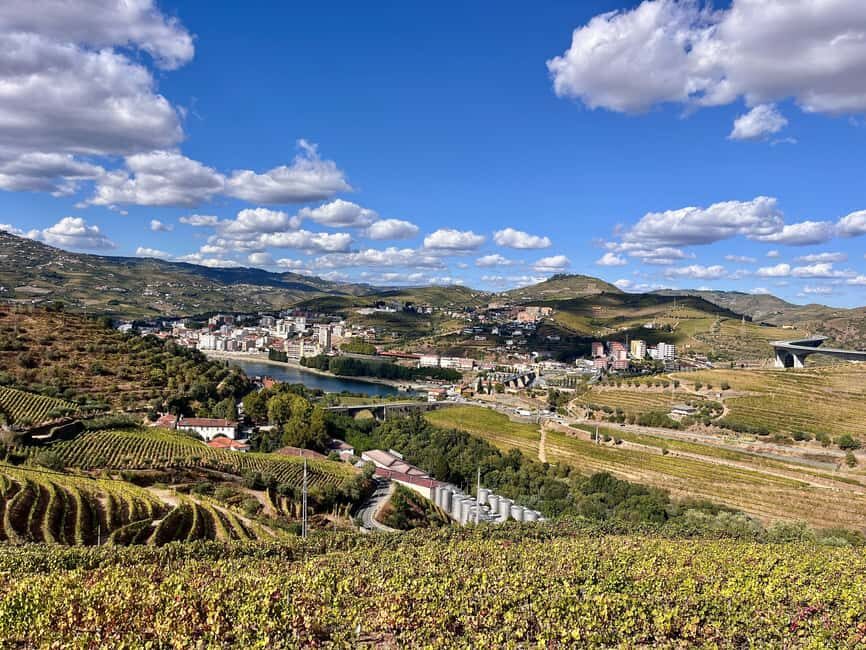 Peso da Régua: Casa da Formiga Wine & Olive Oil Tasting - Practical Details and Tips