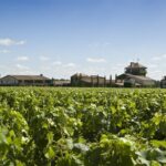 Pessac Leognan 4.5 hours Wine Tour in a Citroën 2CV from Bordeaux - Exploring the Itinerary in Detail