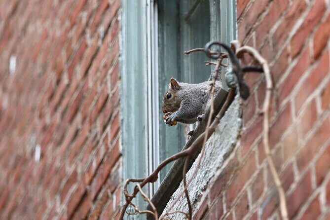 Philadelphia Walking Tour: A Lot of Colonial Nonsense - Why This Tour Works