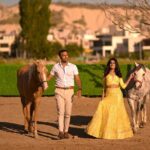 Photoshoot with Running Horses - The Practical Side: Booking and Cancellation